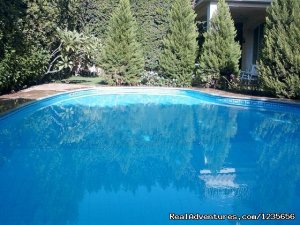 villa with pool for rent furnished in Egypt | Cairo, Egypt | Bed & Breakfasts