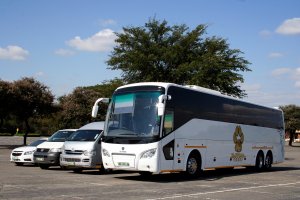 Tour Operator/Pilanesberg National Park (Sun city)
