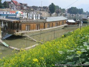 The Shelter Group of Houseboats | In Srinagar | Srinagar, India | Vacation Rentals