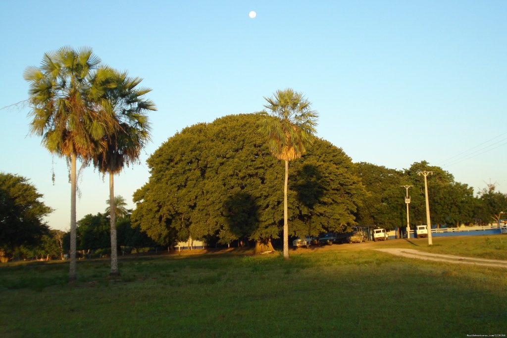 Pantanal- Pousada Santa Clara-MS | Image #10/12 | 