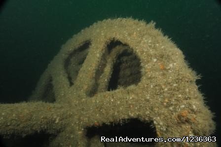 Santo Wreck | Oceanaddicts Dive with us South Coast of Ireland | Image #3/10 | 
