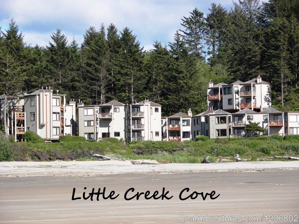 Little Creek Cove | Little Creek Cove Nightly Lodging | Newport, Oregon  | Hotels & Resorts | Image #1/1 | 