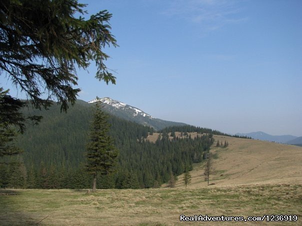 Expedition across the Wild Carpathians, 9 days | Image #12/14 | 