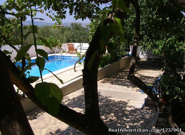 Lemon trees near pool | Villa La Piedra | Image #8/8 | 