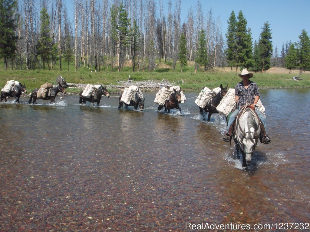 Wilderness Pack String | Horseback Riding Adventures | Seeley Lake, Montana  | Horseback Riding & Dude Ranches | Image #1/20 | 
