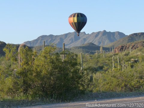 Tucson Mountains/Saguaro National Park West