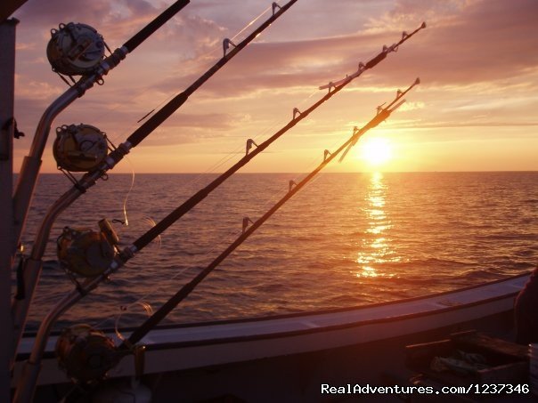 Tuna Rods | Paradise On The Sea Adventures | Image #6/12 | 