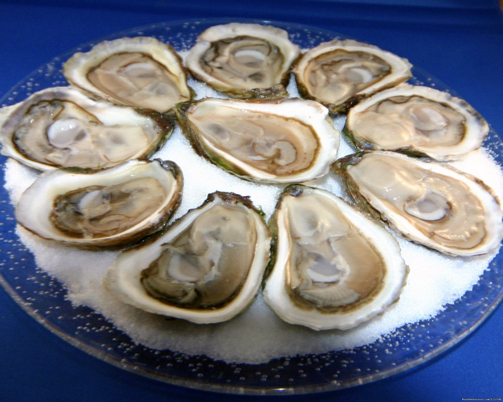 plate of Oysters | Paradise On The Sea Adventures | Image #11/12 | 