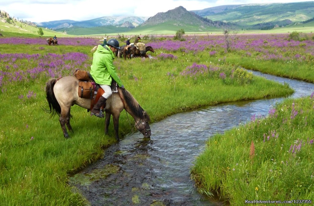 Stone Horse Expeditions & Travel, July is wildflower season | Mongolia Horseback Riding Tours  With Stone Horse | Image #4/26 | 