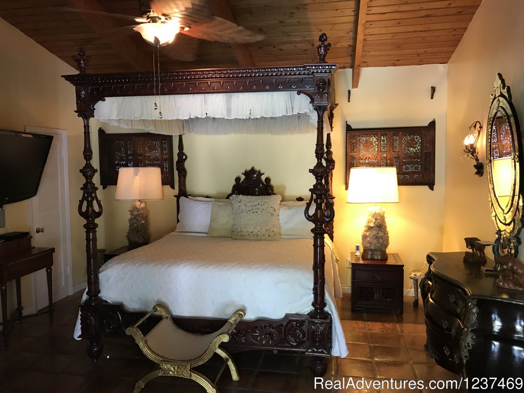 Moroccan Room Bed | Casa Thorn Bed & Breakfast | Image #13/21 | 