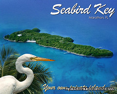 Seabird Key, Private Island,  Sandy beach & boat Photo