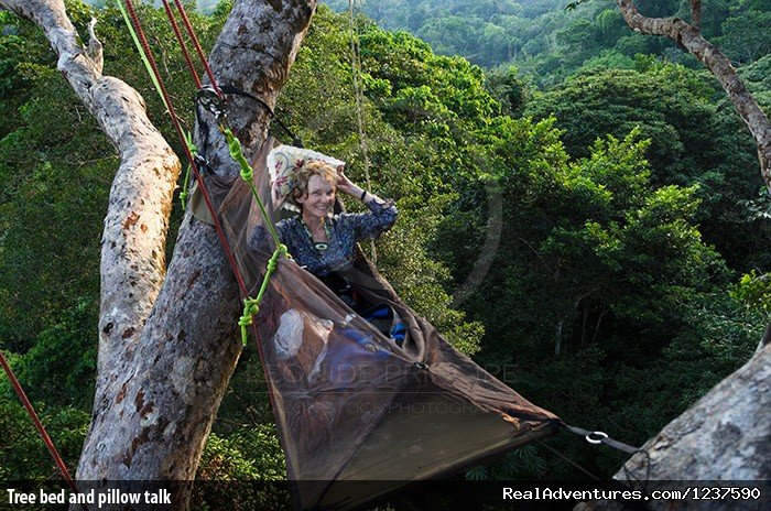 Tree bed and pillow talk | Tree Climbing and Hiking in the Amazon Rainforest | Image #5/6 | 