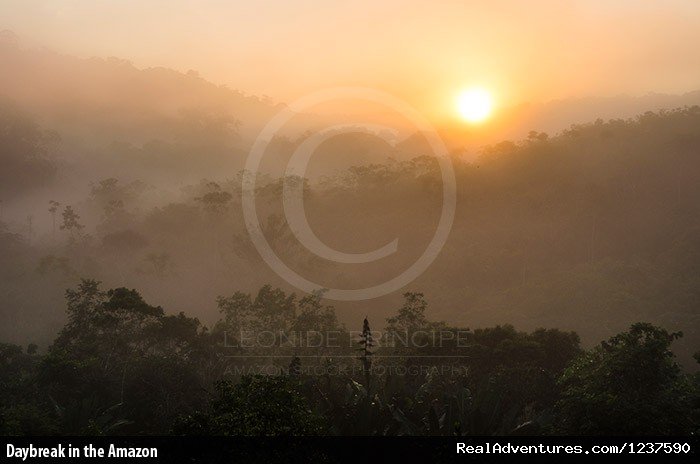 Daybreak in the Amazon | Tree Climbing and Hiking in the Amazon Rainforest | Image #6/6 | 