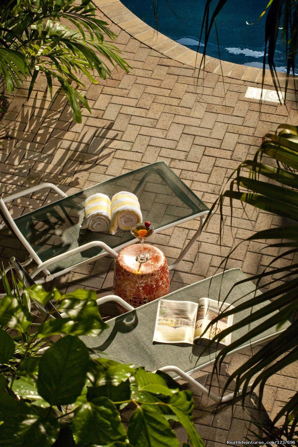 Tropical Inn, garden view | Most Romantic Inn in Key West | Image #8/23 | 