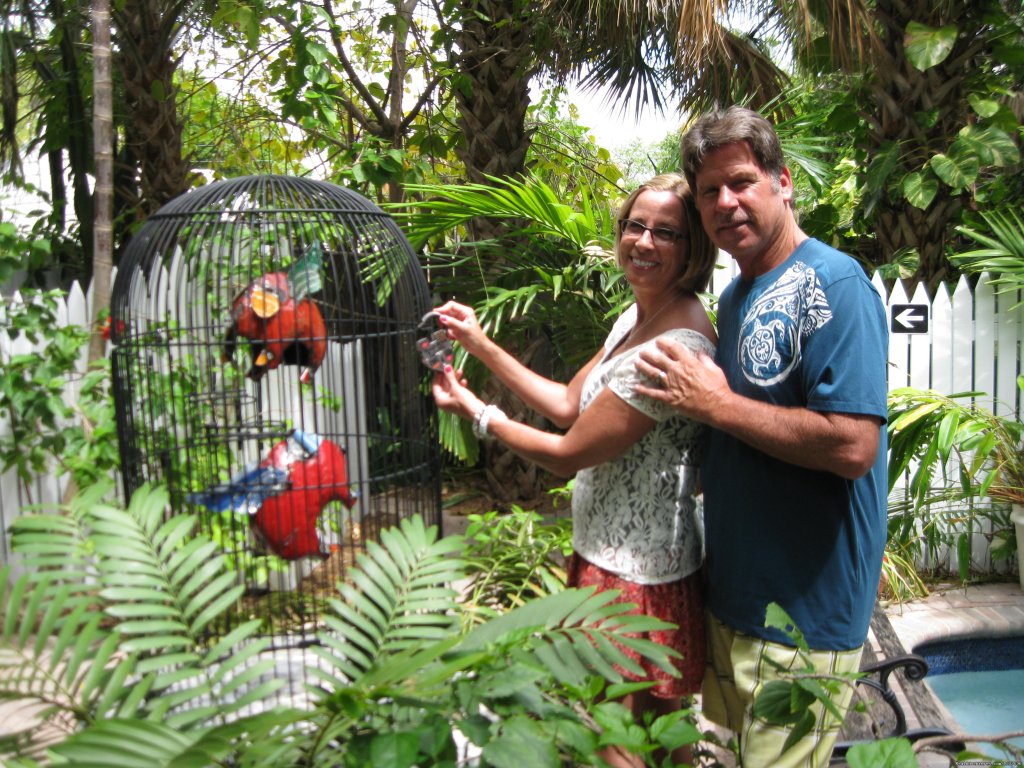 Tropical Inn, Lovelocks | Most Romantic Inn in Key West | Image #16/23 | 