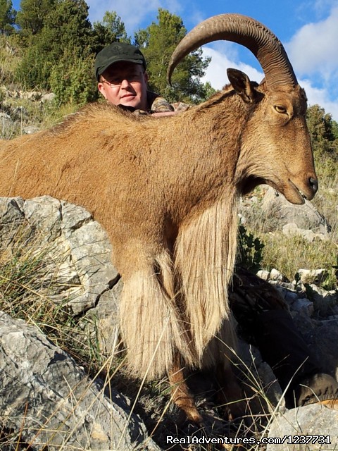 Hunting Trips to Spain Photo