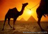 Egypt 2Day Tour | Cairo, Egypt