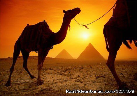 Egypt 2Day Tour | Cairo, Egypt | Sight-Seeing Tours | Image #1/13 | 