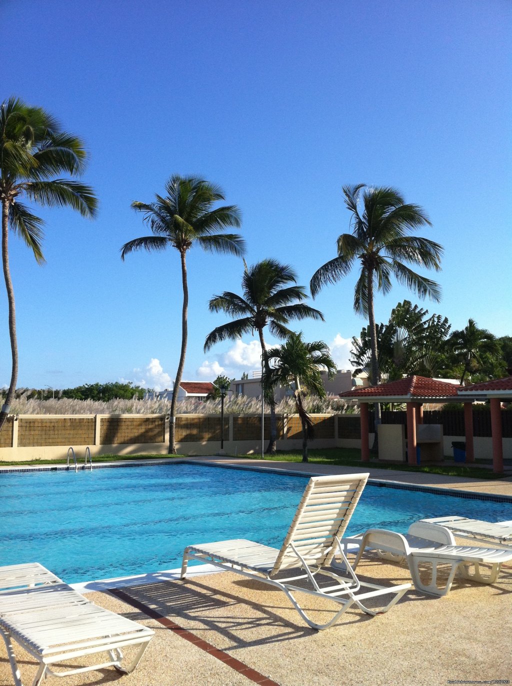 Pool Area | Beautiful Apt in Isla Verde-Free bus to beach | Isla Verde,  Carolina, SJ PR, Puerto Rico | Vacation Rentals | Image #1/22 | 