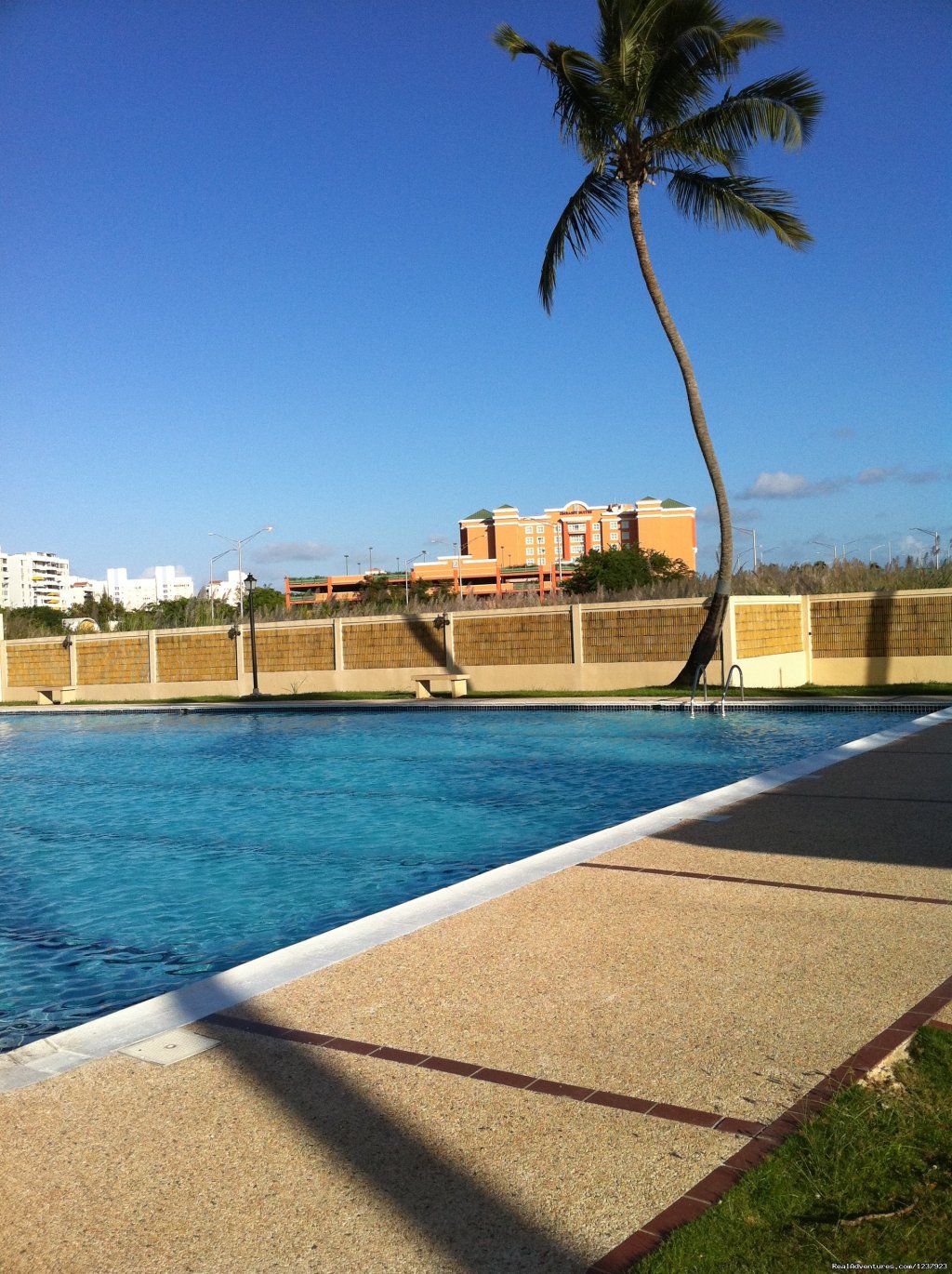 Pool | Beautiful Apt in Isla Verde-Free bus to beach | Image #15/22 | 