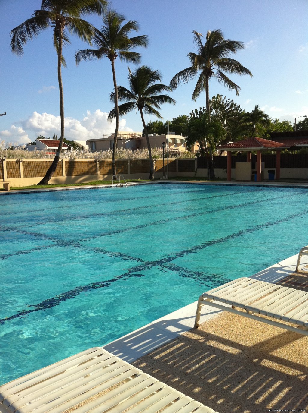 Pool | Beautiful Apt in Isla Verde-Free bus to beach | Image #19/22 | 