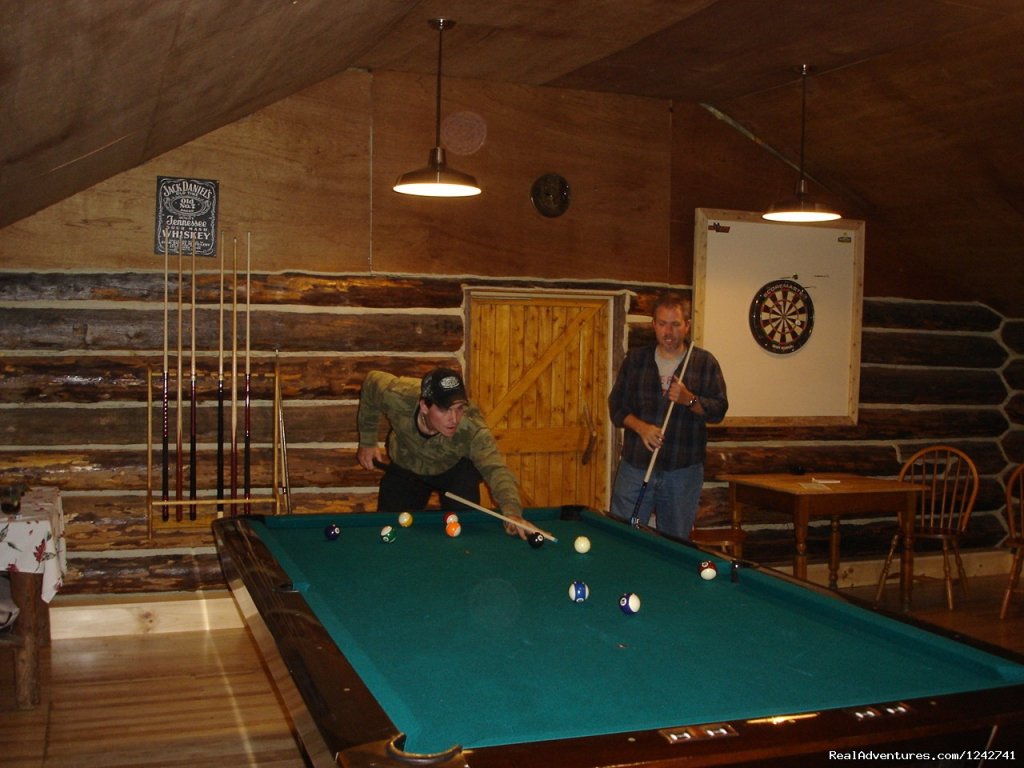 9' Regulation Brunswick Medallion Pool Table | View Northern Maine's Boreal Species | Image #11/21 | 