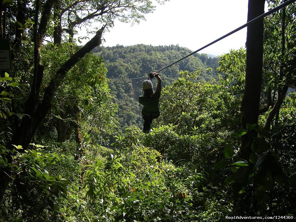 Zip Line, Rappelling in Waterfalls & Canyoneering | Ponce, Puerto Rico | Eco Tours | Image #1/1 | 