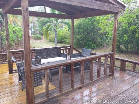 Large Deck with dinining area and gas grill