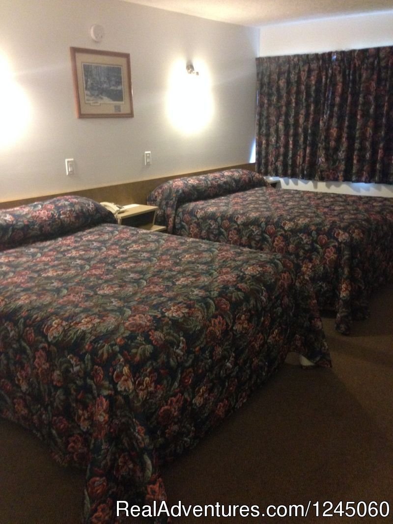Double room | Perth-Andover Motor Inn | Image #4/6 | 