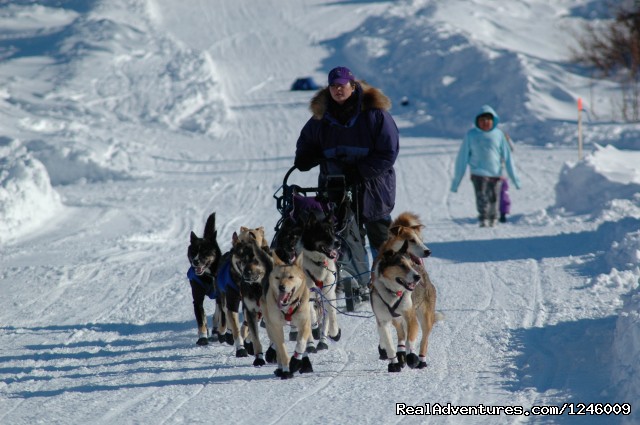 Iditarod Sled Dog Race Tours & Arctic Adventure Photo