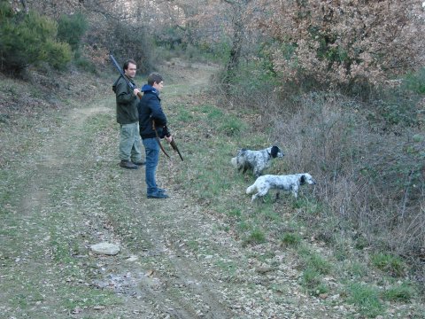 Hunting day at the private reserve in Tuscany