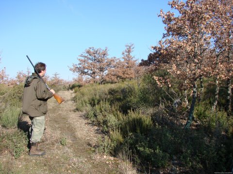 Hunting day at the private reserve in Tuscany