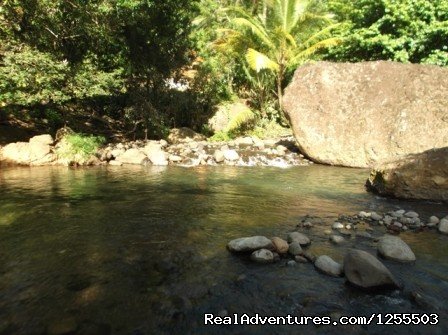 River just 2 minute walk | Affordable vacation in Dominica | Image #5/12 | 
