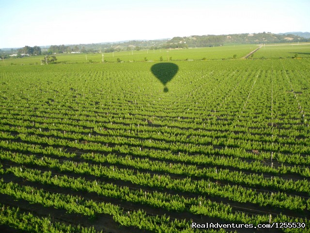 Up & Away Ballooning Photo