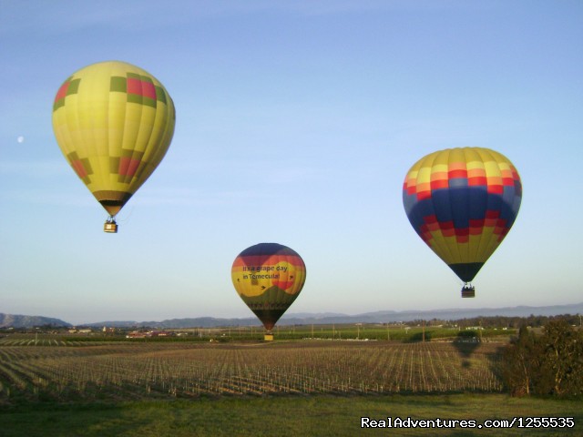 A Grape Escape Hot Air Balloon Adventure Ballooning in Temecula is popular