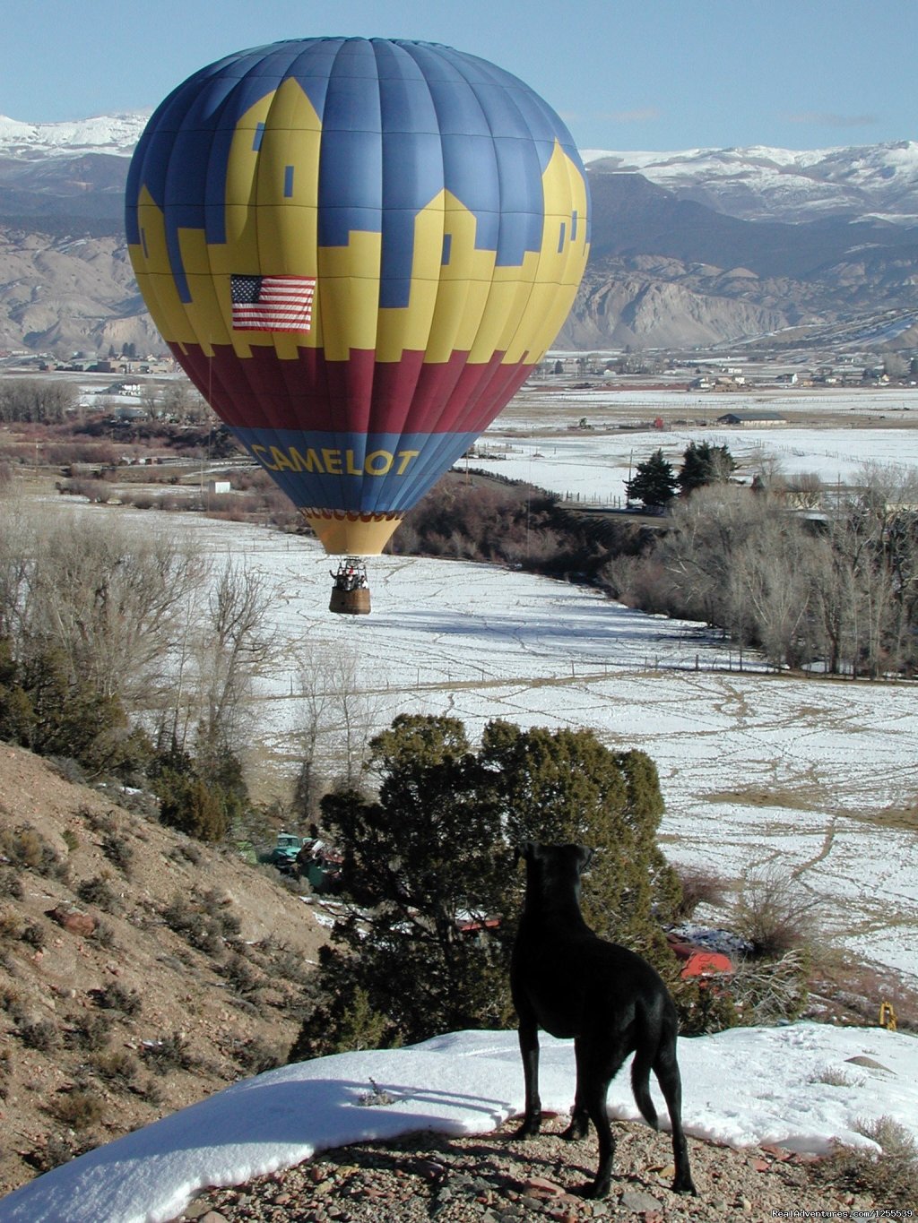 Camelot Balloons | Image #4/6 | 