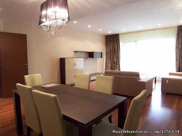 living room | Spacious two bedroom apartment furnished for rent | Image #2/4 | 
