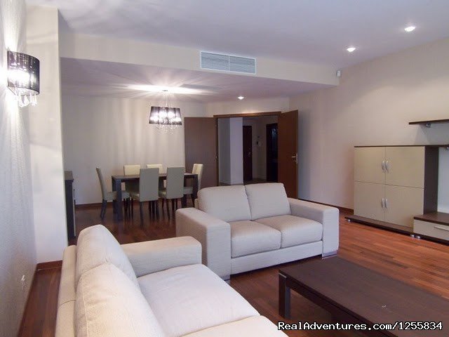 living room | Spacious two bedroom apartment furnished for rent | Image #3/4 | 