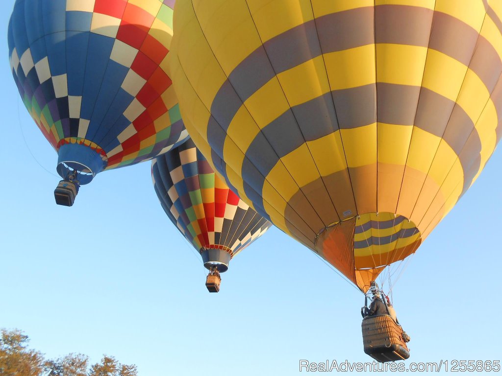 The take-off | Monticello Country Ballooning | Charlottesville, Virginia  | Hot Air Ballooning | Image #1/11 | 