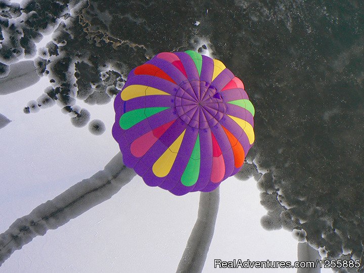 Hudson Hot Air Affair - Barney Balloon Over Ice | Hudson Hot Air Affair | Image #11/11 | 