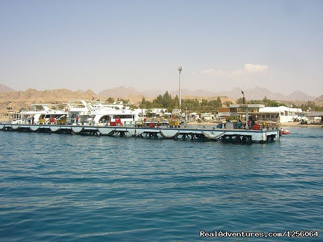 Dive Dahab Red Sea with Red Sea Pro | Image #4/5 | 