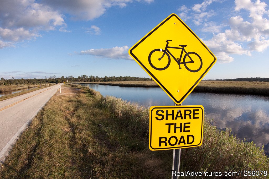 Share the Road | Bike Florida 2014 Tour | Image #8/17 | 