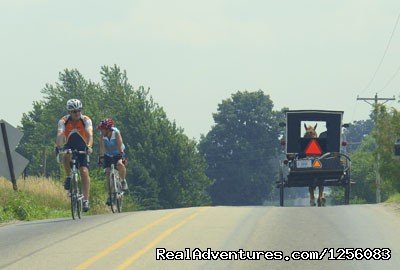 Bikers And Amish Sharing The Road | Amishland and Lakes Bicycle Tour | Lagrange, Indiana  | Bike Tours | Image #1/5 | 