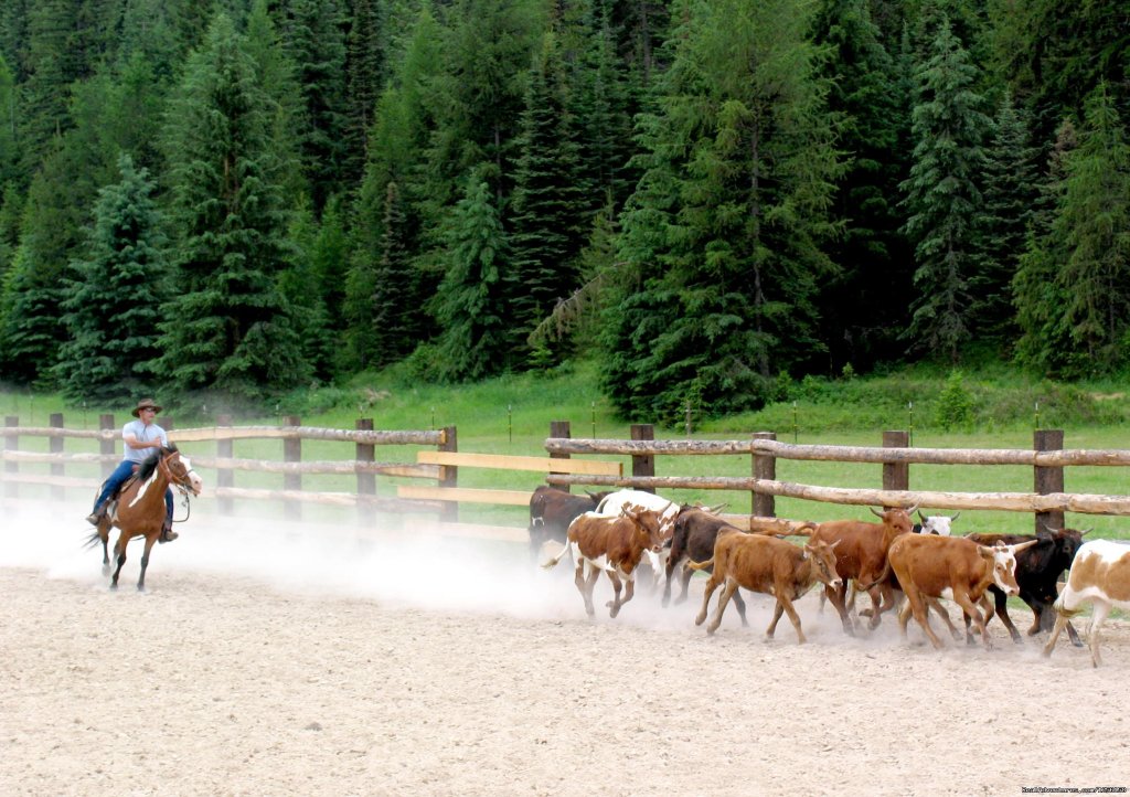 Practicing cattle work | Bar W Guest Ranch | Image #2/26 | 
