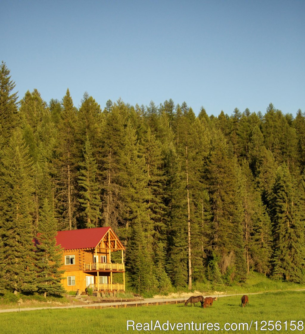 Cabin suites offer a rustic ambiance | Bar W Guest Ranch | Image #14/26 | 