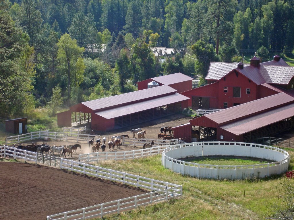 Horses coming into the barns | Colorado Trails Ranch, Colorado's Friendliest | Image #3/13 | 