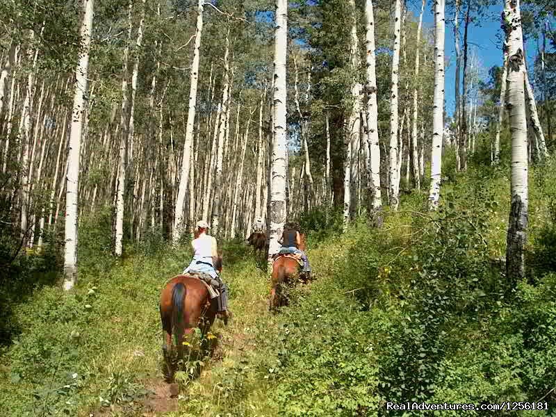 Riding in the aspen | Colorado Trails Ranch, Colorado's Friendliest | Image #12/13 | 