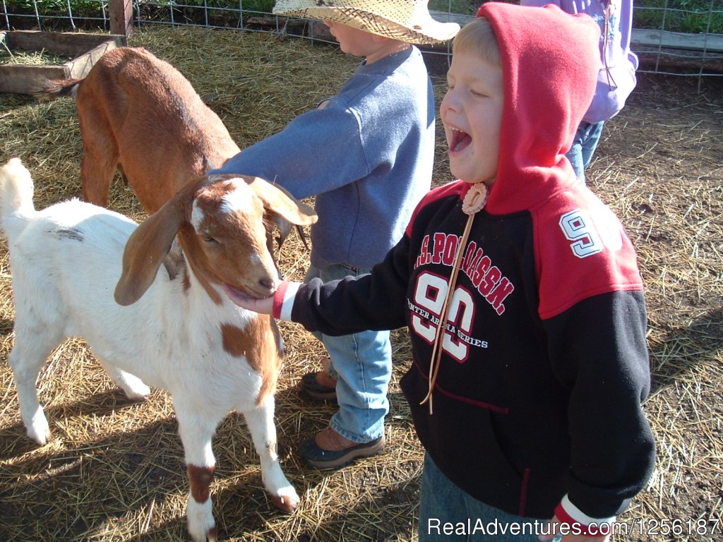 Kid's love the petting zoo | Elk Mountain Ranch | Image #5/5 | 