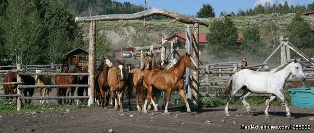 Heart Six Ranch Photo