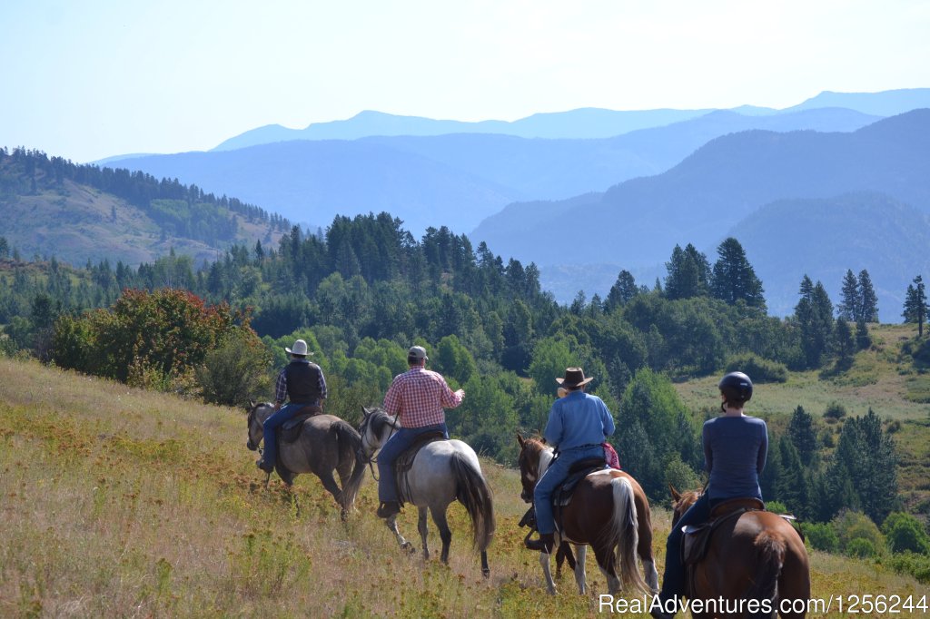 Trail Ride at Bull Hill Guest Ranch | Bull Hill Guest Ranch | Kettle Falls, Washington  | Horseback Riding & Dude Ranches | Image #1/2 | 